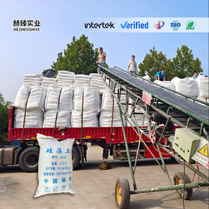 Food Grade Diatomite <b>Powder</b> Hebei <b>Drinking</b> Water Treatment Beverage Filtration Industrial Liquid Processing Filter Aid - Product Image 6