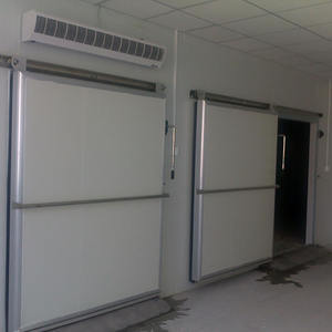 Puerta de Aluminio para Congelador Industrial Personalizada, Puerta Abatible para Cuarto Frío, Proveedores para Uso Comercial e Industrial - Product Image 3