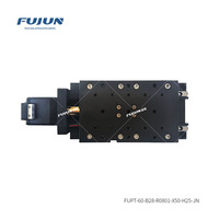 FUPT-60-B28-R0801-X50-H25-JN Riel de guía lineal de posicionamiento de alta precisión con carrera ajustable de 50 mm para eje X y etapa lineal para eje Z