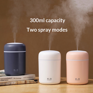 Hot Selling Portable Warm Mist LED Light <strong>Mini</strong> 300ml H2O Spray Mist Humidifier Aromatherapy Essential Oil Diffuser Color Changing - Product Image 4