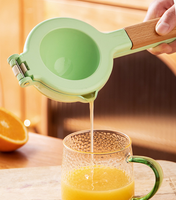 Presse-agrumes manuel Presse-citron orange multifonction avec râpe Outil pour l'ail haché Presse-agrumes pour citron vert