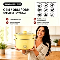 Marmite Électrique Multifonctionnelle 3L 800W avec Cuiseur Vapeur, 220V, Antiadhésive, Portable, pour Cuisson à la Vapeur, Ébullition et Friture, OEM