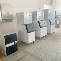 Máquina para Hacer Hielo con Capacidad de Almacenamiento de 25 kg, Uso Comercial, Acero Inoxidable, Logotipo Personalizado, Motor Emerson, 110V/220V, 1 Año de Garantía