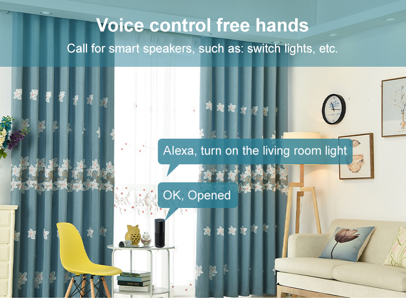 Remote control Voice control Timing/Countdown Multi-person sharing