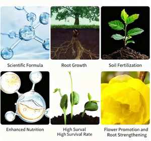 Seaweed Fish Protein Quick Release Water-Soluble Organic <strong>Fertilizer</strong> for Agriculture Use <strong>Liquid</strong> - Product Image 4