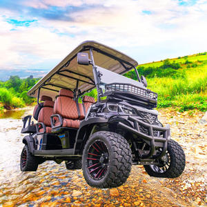 Carrito de Golf Eléctrico de Alta Potencia en Oferta, Suministro Directo de Fábrica, Mejor Precio en EE. UU., Buggy Eléctrico para Caminos No Públicos - Product Image 1