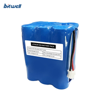 Pack de batteries lithium-ion BITWELL personnalisé 6S 18650 & 21700 22,2V 2000-5000mAh avec protection BMS bleue pour lampadaires