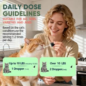 Gouttes de curcuma et de curcumine personnalisées pour chats et chiens, renforcement immunitaire, équilibre du système de santé, complément alimentaire pour animaux de compagnie, curcuma et curcumine liquides - Product Image 5