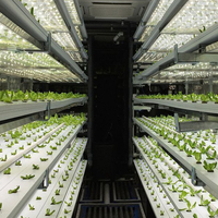 Système de culture hydroponique en conteneur pour légumes-feuilles - Agriculture verticale pour la laitue, les épinards, le chou frisé et plus encore