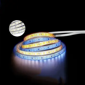 Bande lumineuse néon Flexible IP68 en Silicone adressable 12x4.5mm WS2811 Pixel RGB LED, meilleure vente en chine