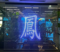 Светодиодный модуль P6 Transtech, прозрачный LED-экран для 3D-дисплеев без очков, разрешение 4K, яркость 800 кд/м², читаемость при солнечном свете, гарантия 1 год