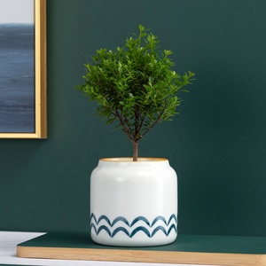 Nueva decoración del hogar <span class=keywords><strong>macetas</strong></span> de flores de cerámica <span class=keywords><strong>a</strong></span> granel pequeñ<span class=keywords><strong>a</strong></span> maceta suculenta esmaltada pintada <span class=keywords><strong>a</strong></span> <span class=keywords><strong>mano</strong></span> - Product Image 3