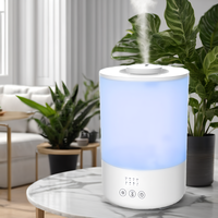 Top Fill 3L Humidificateur de sortie de brume à 360 degrés avec diffuseur d'huiles essentielles Home Minuterie de lumière 7 couleurs