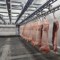 Ligne complète d'abattage de porcs, machine d'abattage automatique de porcs, équipement d'abattage de porcs