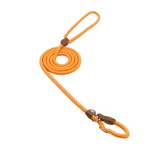 Laisse pour chien en nylon à ressort, nouvelle collection, en stock, fabriquée en Chine - Product Image 3