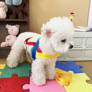 Arnés y Correa para Mascotas con Bloques de Color, Ajustable para Perros Pequeños, Chaleco para Pasear - Product Image 2