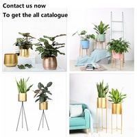 Pot de fleurs décoratif en métal pour la maison et le jardin, pot à plantes en fer, pot à bonsaï en acier doré avec support en métal
