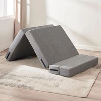 Sofás para Sala de Estar, Sofá Cama Plegable para el Hogar, Sillón Futón de Espuma Viscoelástica, Sofá Plegable Comprimido al Vacío con Almohada