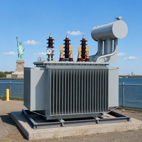 Transformateur de distribution immergé dans l'huile triphasé 400 kVA S20 à trois enroulements 50 Hz 60 Hz pour usage agricole