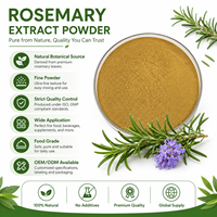 Poudre d'extrait de romarin certifiée GMP LongBio, acide rosmarinique, acide carnosique, antioxydant naturel, qualité alimentaire, extrait végétal pour