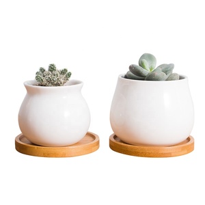 Mini pot <span class=keywords><strong>de</strong></span> plantes blanc personnalisé, plateau en bambou, petit pot <span class=keywords><strong>de</strong></span> fleurs, jardinière succulente en céramique avec soucoupe - Product Image 6