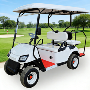 Carro Eléctrico Turístico Completamente Equipado con Cortina Antilluvia, Luces de Advertencia y Asientos de Lujo, Buggy de 6 Plazas para Transporte VIP en Resorts - Product Image 2