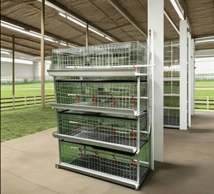 Jaula para Pollos de 4 Niveles y 2 Puertas, Galvanizada en Frío, para 96 Pollos - Product Image 4