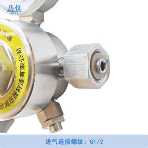 Suministro Directo de Fábrica, Reductores de Presión de Doble Manómetro de Acero Inoxidable 316, Válvulas Reductoras de Presión de Amoníaco YQA-441/YQA-401 - Product Image 2