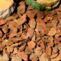 Granulés d'écorce de pin vert pour litière d'iguanes, litière pour lézards et tortues, aménagement de cage pour animaux, absorption des odeurs, rétention de l'humidité, 500g