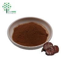 Poudre d'extrait de champignon Reishi biologique, extraite par solvant, double polysaccharide, bêta-glucane, triterpène Reishi, en fût