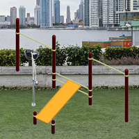 Barres à singes en acier durables et planche à sit-up Fitness Gym Pull-up Bar Calisthenics Equipment avec certificat TUV