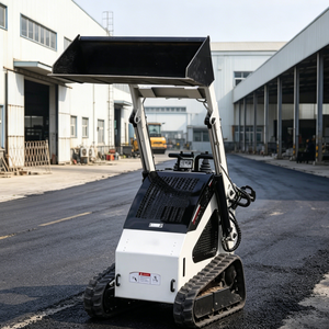 Mini-chargeuse compacte nouvelle arrivée certifiée CE EPA, capacité de 0,5 tonne, machine de terrassement, moteur et pompe, garantie 1 an - Product Image 3