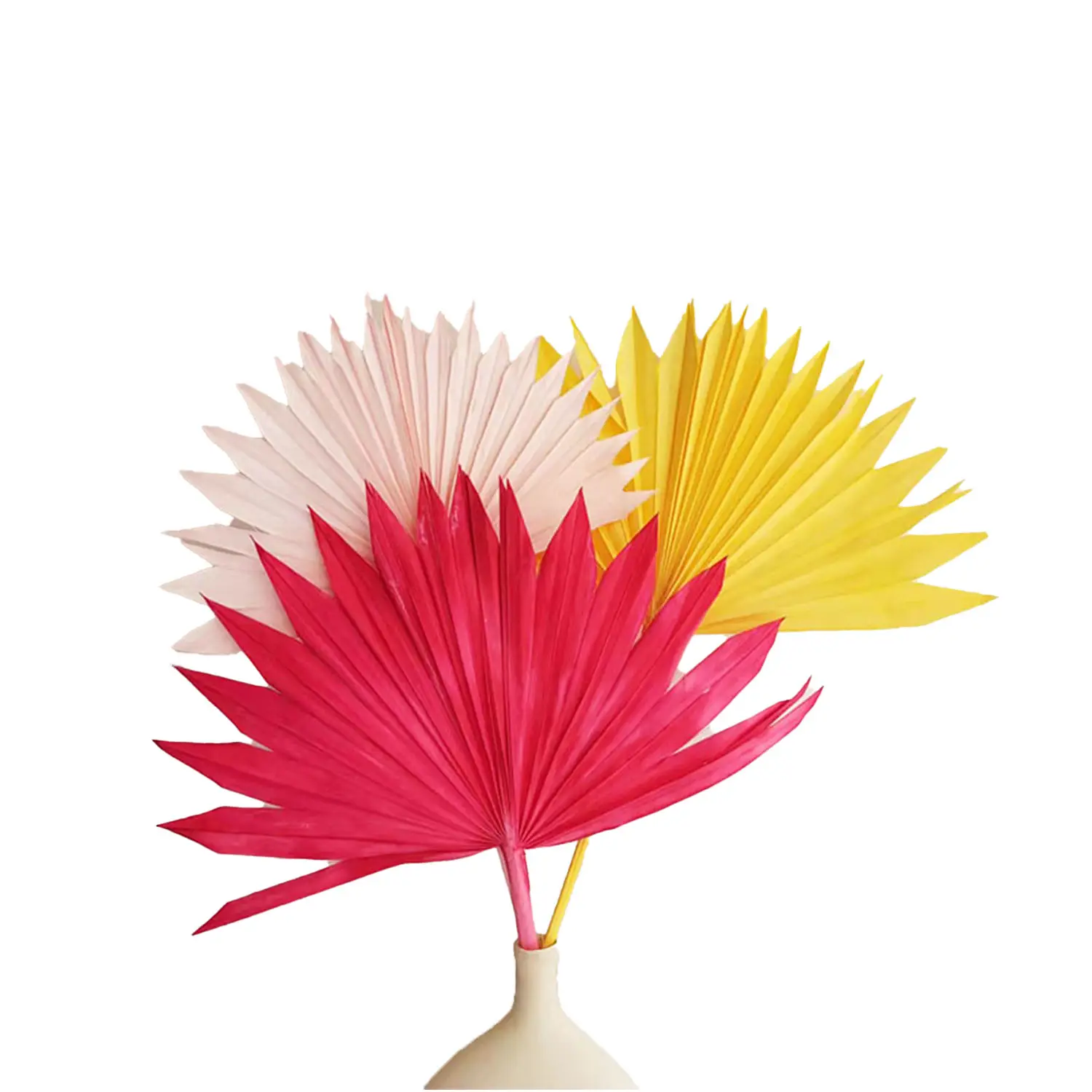 Amazon Hot Selling Natuurlijke Gedroogde Palm Bladeren 13-19 Palm Fans Voor Thuis Bruiloft Decoratie