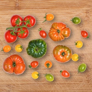 مجموعة الدفيئة التجارية عالية الجودة من البولي كربونات - Product Image 4
