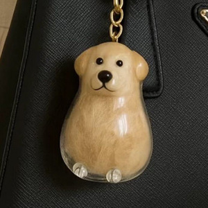 Venta al por mayor transparente forma de perro llavero pelo de mascota medallones conmemorativos mascota recuerdo llavero para duelo dueños de mascotas - Product Image 3