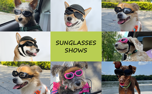 Lunettes <span class=keywords><strong>de</strong></span> soleil <span class=keywords><strong>pour</strong></span> <span class=keywords><strong>chien</strong></span> anti-UV, coupe-vent, <span class=keywords><strong>pour</strong></span> <span class=keywords><strong>moto</strong></span>, avec trous <span class=keywords><strong>pour</strong></span> les oreilles, <span class=keywords><strong>pour</strong></span> petits chiens, vente en gros - Product Image 4