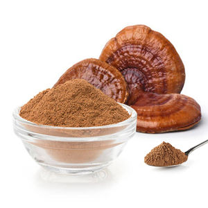 थोक मूल्य खाद्य उत्पाद रेशी मशरूम 10:1 प्रतिरक्षा सहायता के लिए थोक मूल्य खाद्य उत्पाद रेशी मशरूम निकालें - Product Image 1