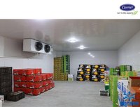 Hochleistungs-Kühlraumverdampfer mit Epoxidbeschichteten Aluminiumlamellen für Meeresfrüchte-Lagerung in Feuchten und Korrosiven Kühllagern