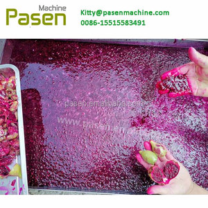 Separador de semillas de una fruta, máquina extractora de cactus rickly PEAR - Product Image 5