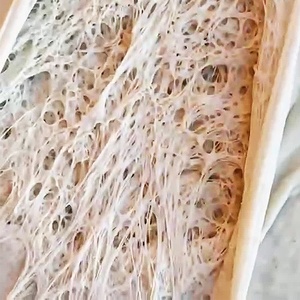 Obtenez une pâte parfaitement levée par levure à chaque fois, élevez votre jeu de cuisson à la maison avec de la levure sèche instantanée, du pain à la levure - Product Image 4