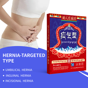 Оригинальная оптовая продажа медицинская магнитотерапия Традиционная китайская медицина формула для снятия легкой грыжи - Product Image 2