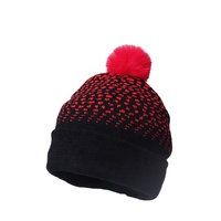 Bonnet rouge d'hiver à impression numérique avec logo personnalisé Bonnet de haute qualité tricoté pour les entreprises Design de voyage à carreaux en tissu de dessin animé