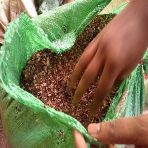 Cáscara de Anacardo Cruda 3-10 mm para Curtido y Teñido, Alimento para Animales, Malla de 3 mm, Origen Vietnam, 12 Meses de Vida Útil - Product Image 3