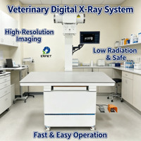 Appareil d'imagerie médicale radiographique haute puissance EUR VET pour équipement vétérinaire