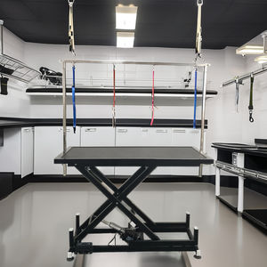 Table de toilettage électrique pour animaux de compagnie Spécialisée pour les animaleries Haute capacité de charge Bain, shampooing et coupe de cheveux - Product Image 2