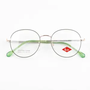 Latest Designer Spectacle Anti Blue Light Custom Eyewear Handmade Clear Metal Green Glasses Stock Optical Frame Acetate Danyang