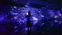 Écran de projection holographique extérieur en maille 3d de 1,5x1m, projection arrière et avant 3d Holo-gaze