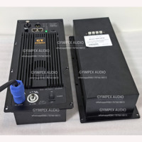 Modules d'amplificateurs de puissance numériques DSP FIR 800w + 300w haute puissance Module d'amplificateur DSP avec plaque d'amplificateur FIR allemande