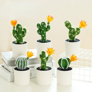 Mini <span class=keywords><strong>Cactus</strong></span> Artificial en Maceta, Planta Artificial en Recipiente de Plástico, Decoración de Oficina, Adornos Pequeños Creativos, Directo de Fábrica - Product Image 1