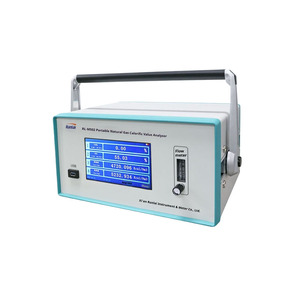 เครื่องวิเคราะห์ก๊าซแบบพกพา Runlai Intelligent M502 สำหรับวัดค่าแคลอริฟิกหลายชนิด CO2 CH4 DP CnHm พร้อมตัวตรวจจับที่ปรับแต่งได้ - Product Image 1